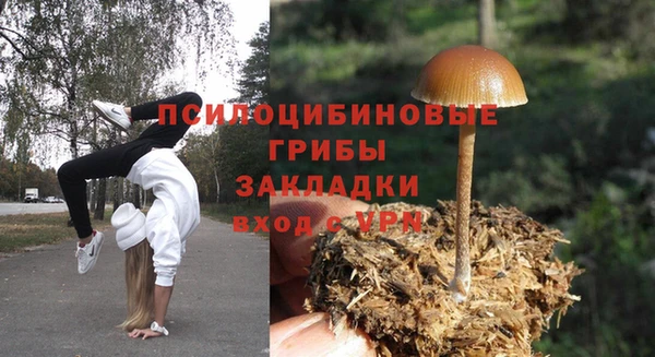 ECSTASY Верея