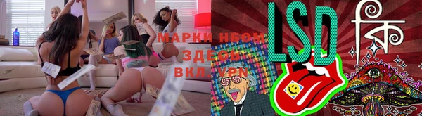 гашик Волосово