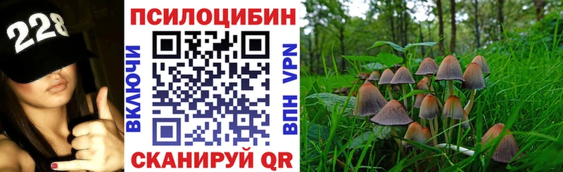 Галлюциногенные грибы прущие грибы  наркошоп  Хасавюрт 