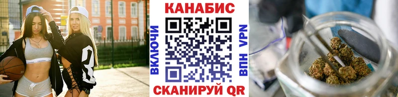 закладки  Хасавюрт  Канабис сатива 